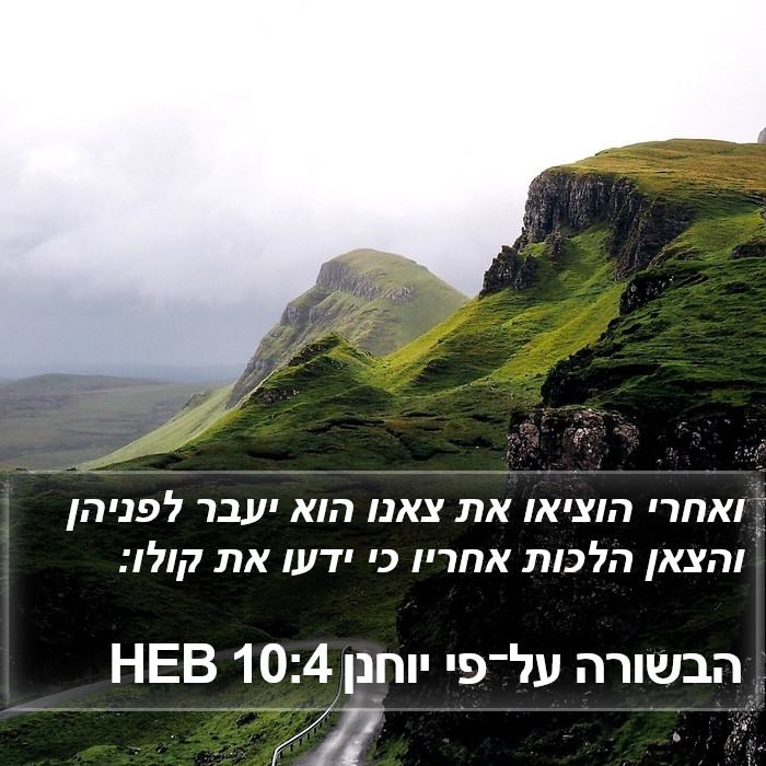הבשורה על־פי יוחנן 10:4 HEB Bible Study