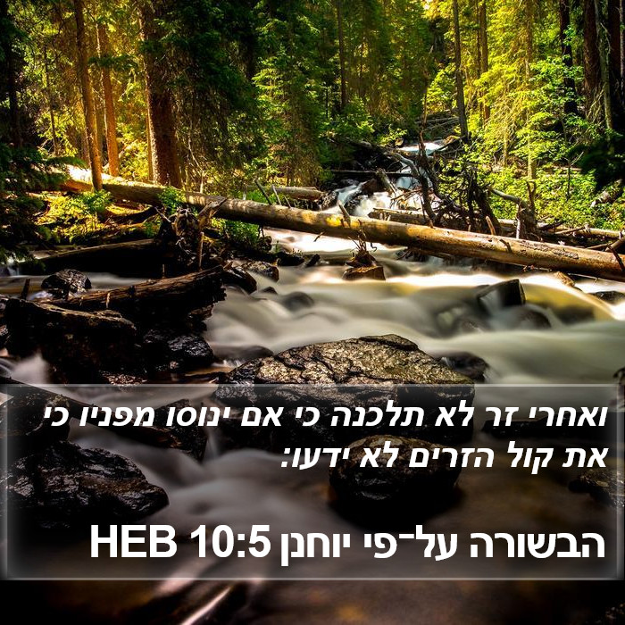 הבשורה על־פי יוחנן 10:5 HEB Bible Study