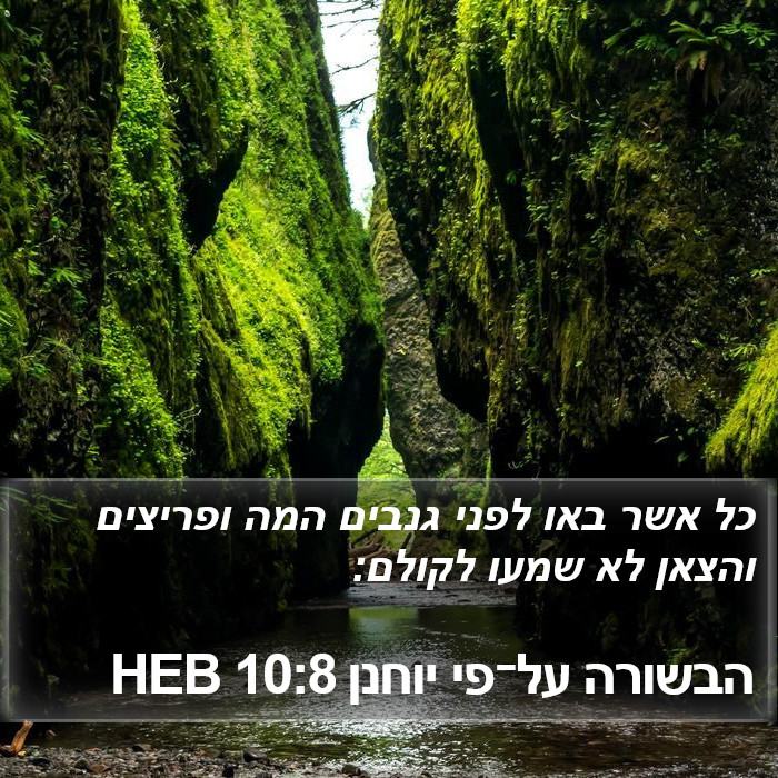 הבשורה על־פי יוחנן 10:8 HEB Bible Study