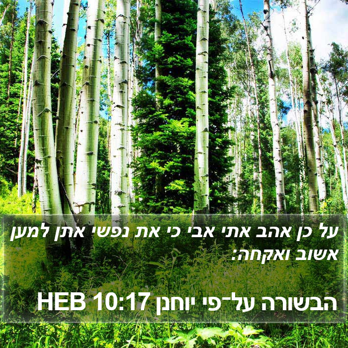 הבשורה על־פי יוחנן 10:17 HEB Bible Study
