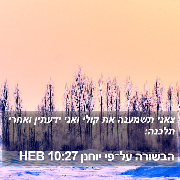הבשורה על־פי יוחנן 10:27 HEB Bible Study