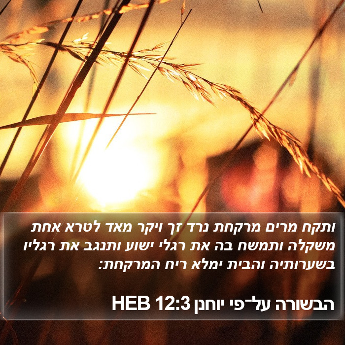 הבשורה על־פי יוחנן 12:3 HEB Bible Study