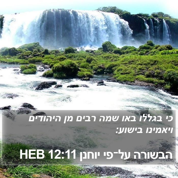 הבשורה על־פי יוחנן 12:11 HEB Bible Study