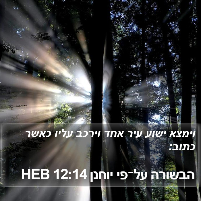 הבשורה על־פי יוחנן 12:14 HEB Bible Study