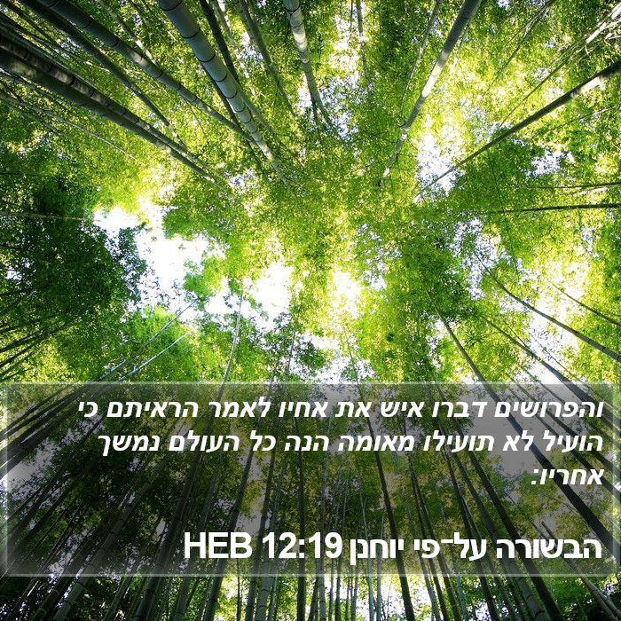 הבשורה על־פי יוחנן 12:19 HEB Bible Study