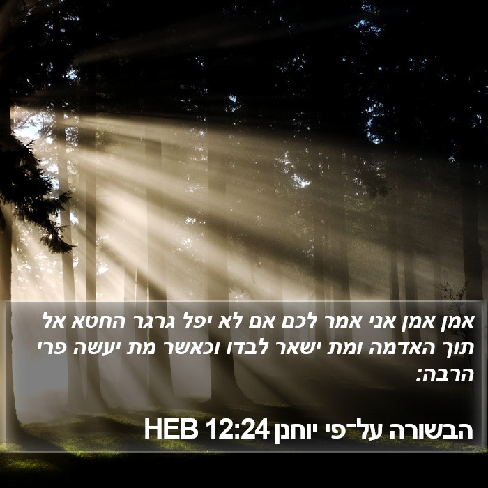 הבשורה על־פי יוחנן 12:24 HEB Bible Study