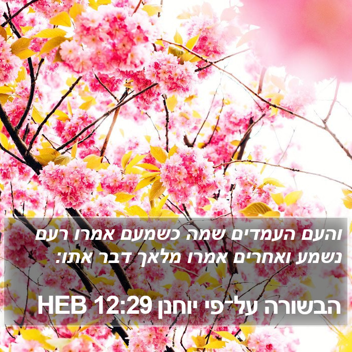 הבשורה על־פי יוחנן 12:29 HEB Bible Study