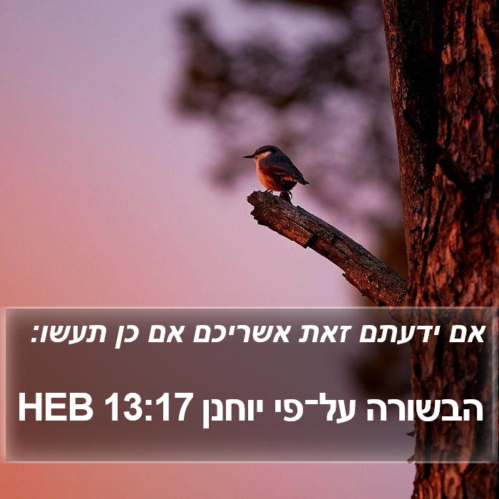 הבשורה על־פי יוחנן 13:17 HEB Bible Study