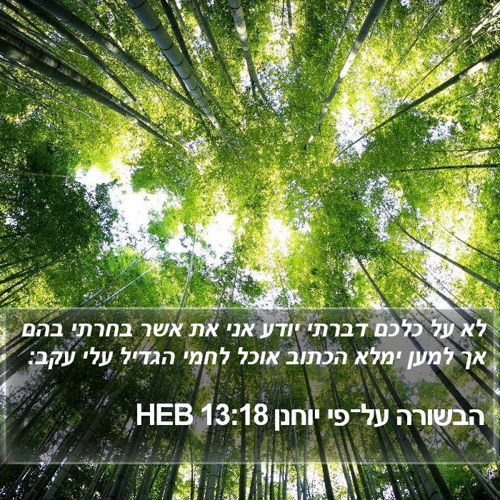 הבשורה על־פי יוחנן 13:18 HEB Bible Study