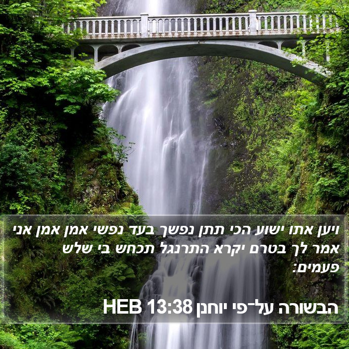 הבשורה על־פי יוחנן 13:38 HEB Bible Study
