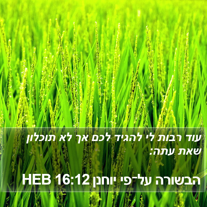 הבשורה על־פי יוחנן 16:12 HEB Bible Study