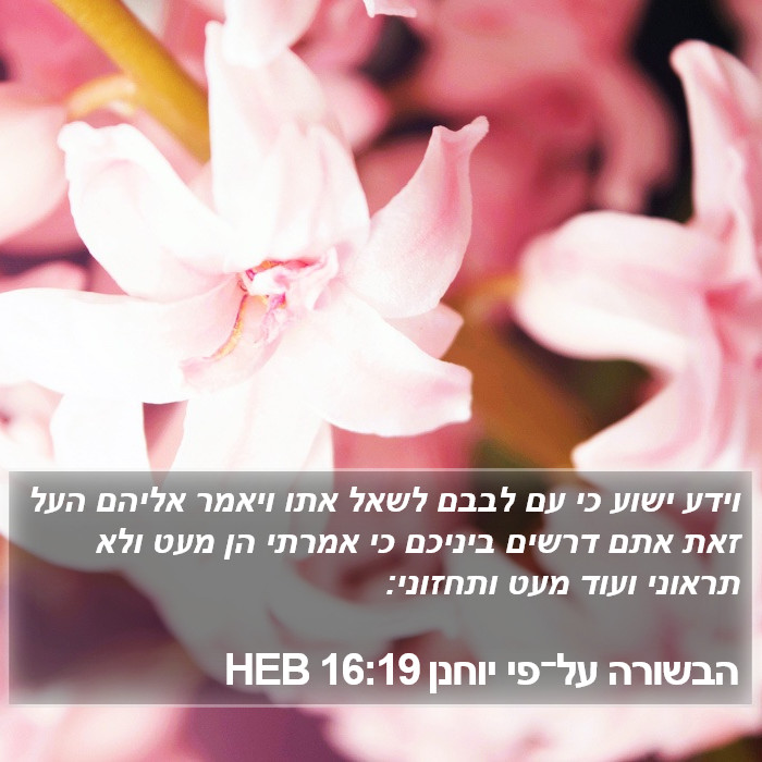 הבשורה על־פי יוחנן 16:19 HEB Bible Study