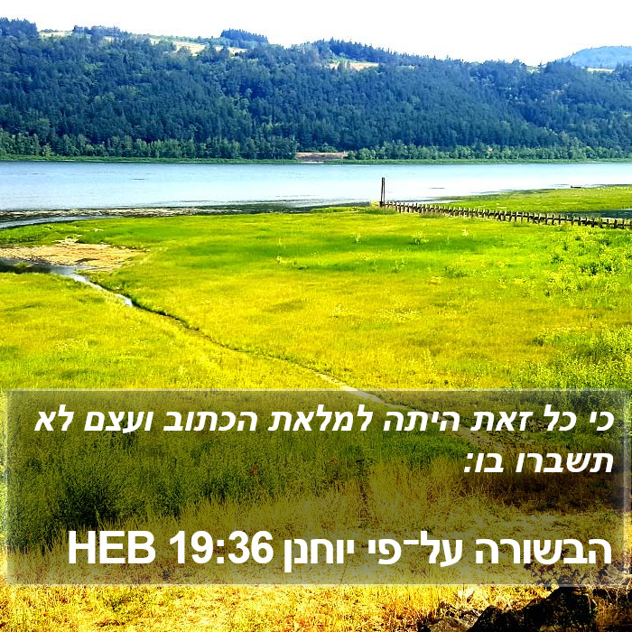 הבשורה על־פי יוחנן 19:36 HEB Bible Study