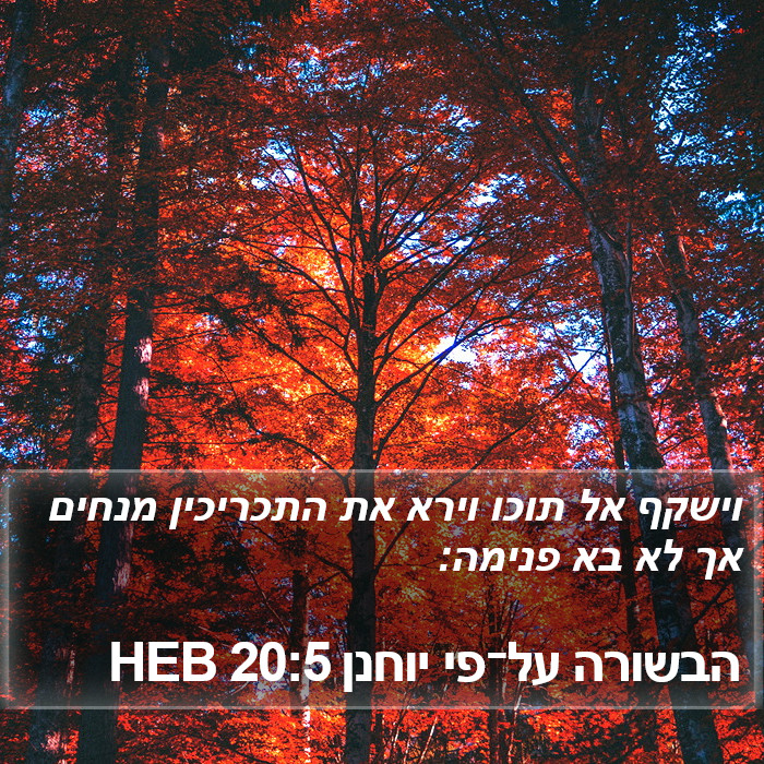 הבשורה על־פי יוחנן 20:5 HEB Bible Study