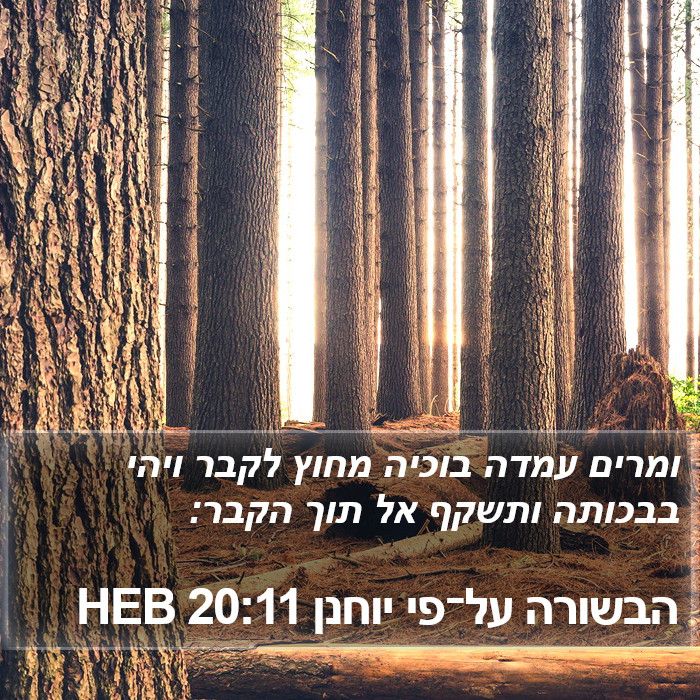 הבשורה על־פי יוחנן 20:11 HEB Bible Study