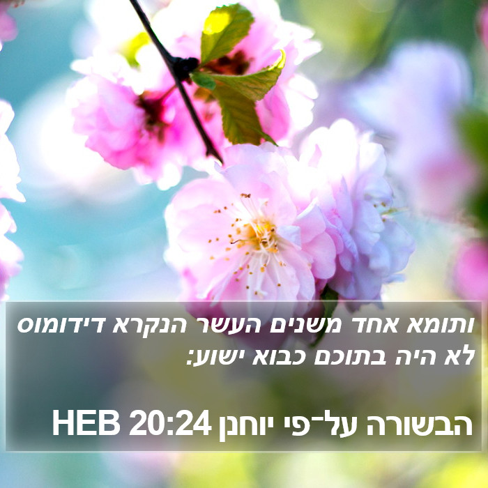 הבשורה על־פי יוחנן 20:24 HEB Bible Study
