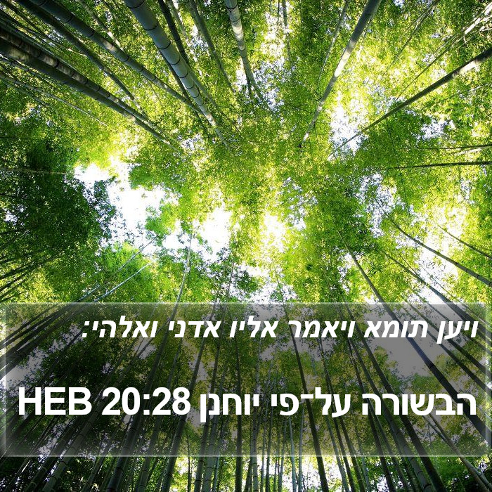 הבשורה על־פי יוחנן 20:28 HEB Bible Study