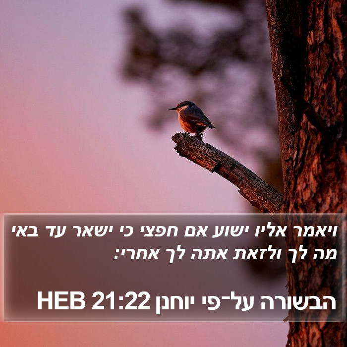 הבשורה על־פי יוחנן 21:22 HEB Bible Study