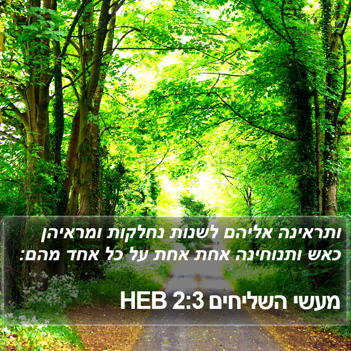 מעשי השליחים 2:3 HEB Bible Study