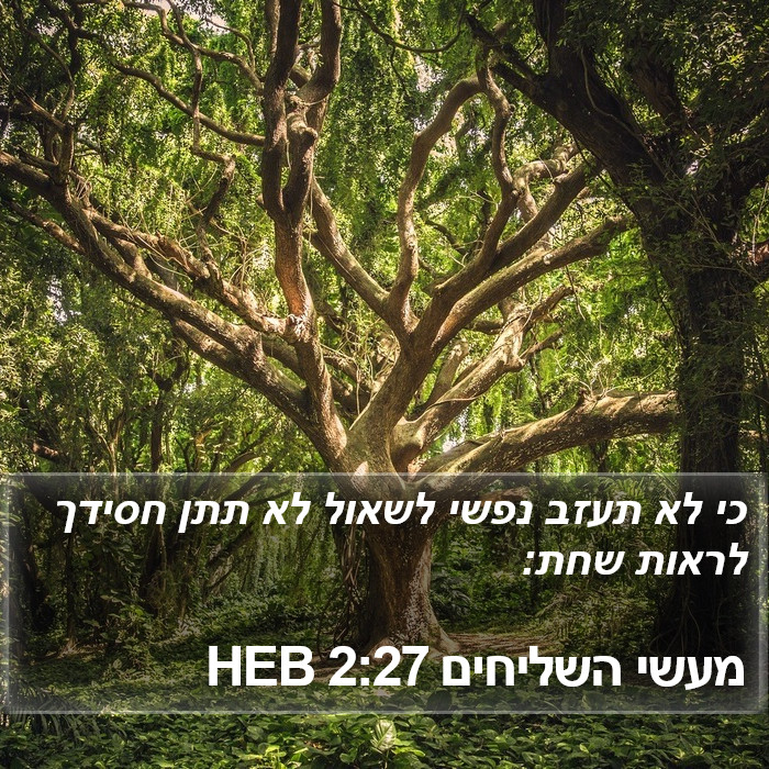 מעשי השליחים 2:27 HEB Bible Study