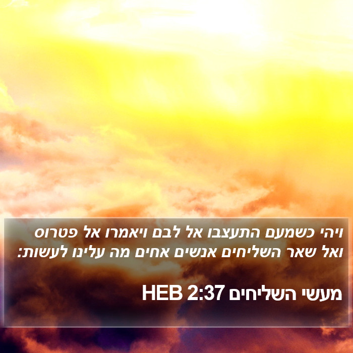 מעשי השליחים 2:37 HEB Bible Study