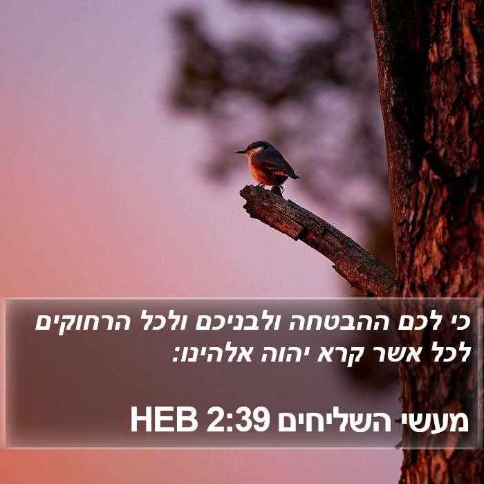 מעשי השליחים 2:39 HEB Bible Study