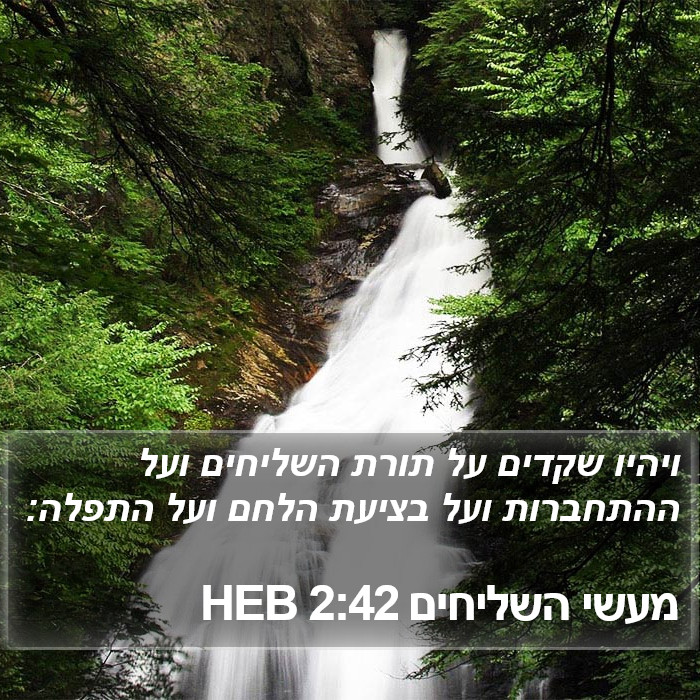 מעשי השליחים 2:42 HEB Bible Study