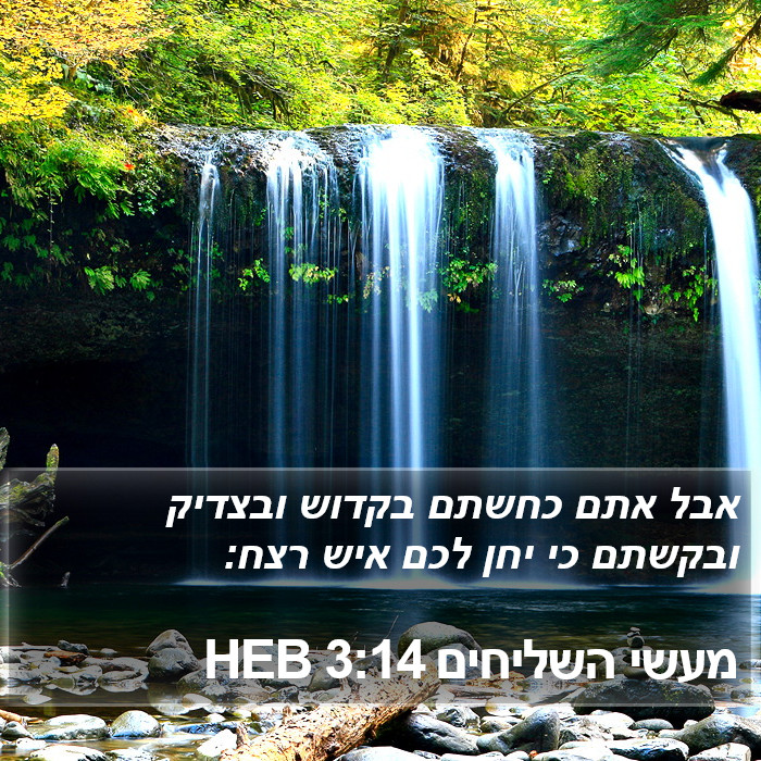 מעשי השליחים 3:14 HEB Bible Study