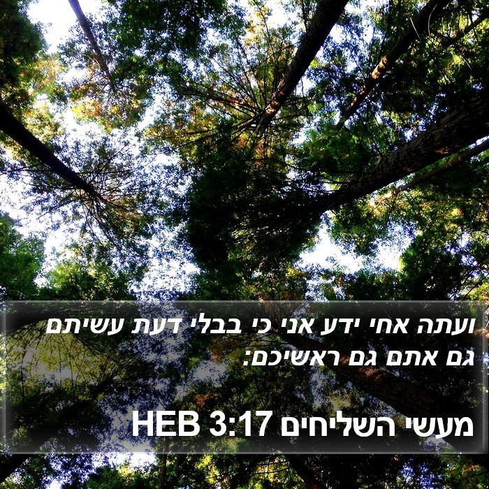 מעשי השליחים 3:17 HEB Bible Study