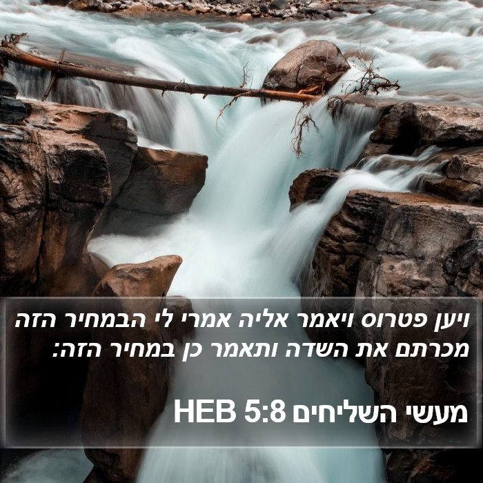 מעשי השליחים 5:8 HEB Bible Study