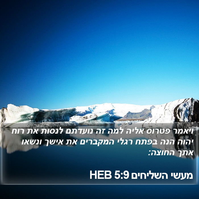 מעשי השליחים 5:9 HEB Bible Study