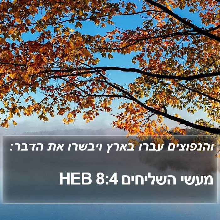 מעשי השליחים 8:4 HEB Bible Study