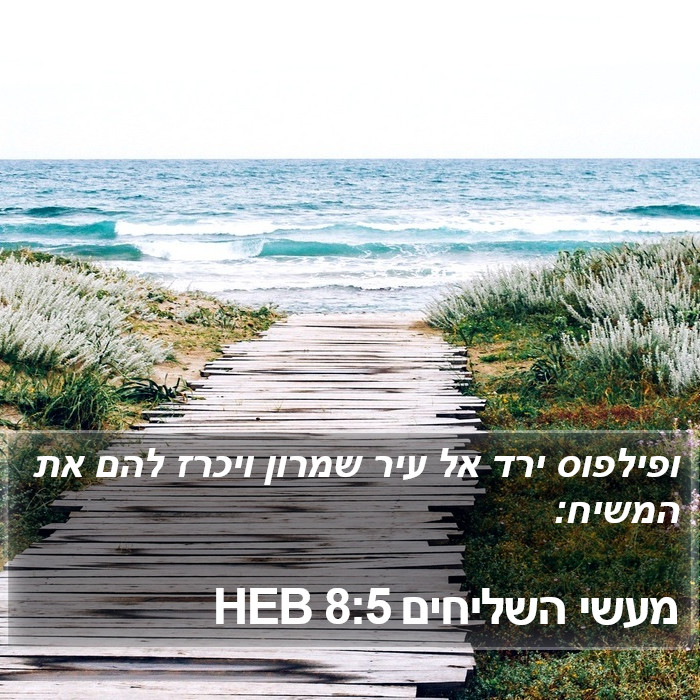 מעשי השליחים 8:5 HEB Bible Study