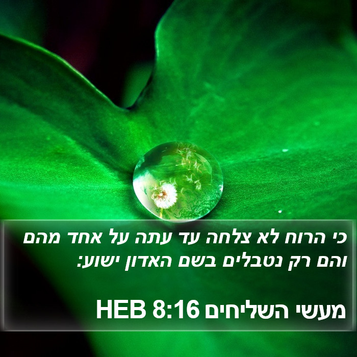 מעשי השליחים 8:16 HEB Bible Study