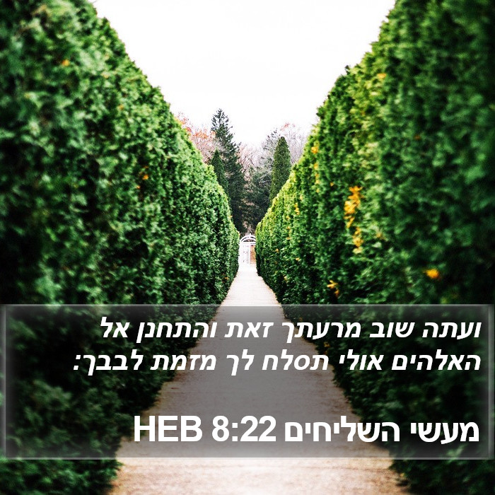 מעשי השליחים 8:22 HEB Bible Study