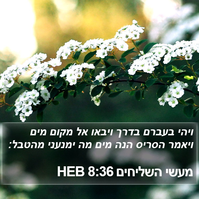 מעשי השליחים 8:36 HEB Bible Study