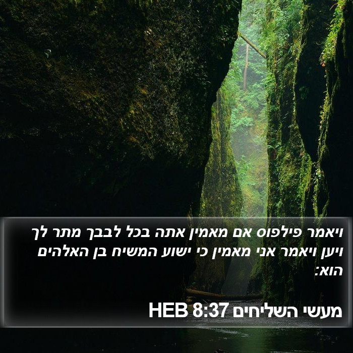 מעשי השליחים 8:37 HEB Bible Study