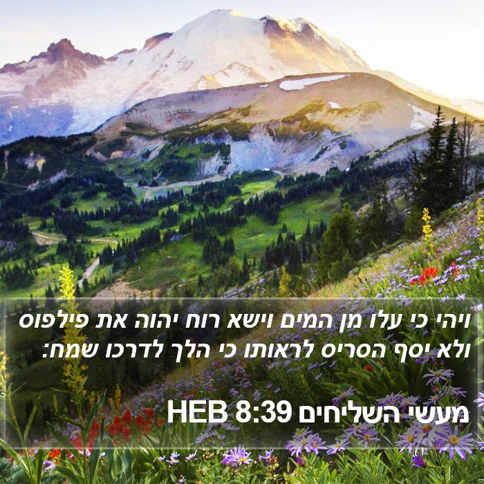 מעשי השליחים 8:39 HEB Bible Study