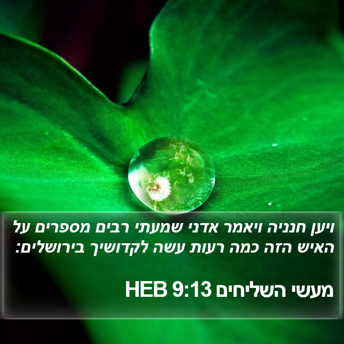 מעשי השליחים 9:13 HEB Bible Study