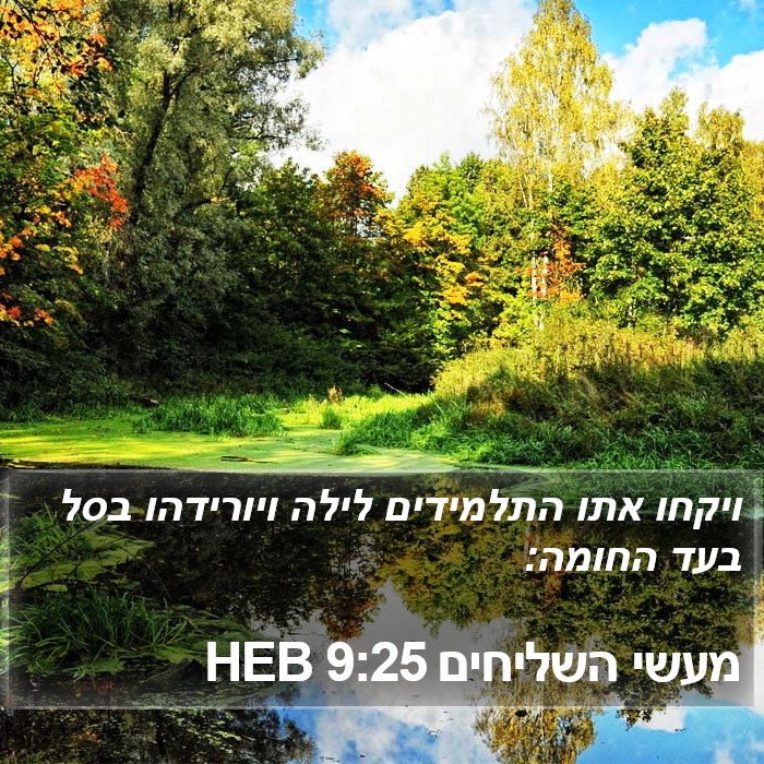 מעשי השליחים 9:25 HEB Bible Study