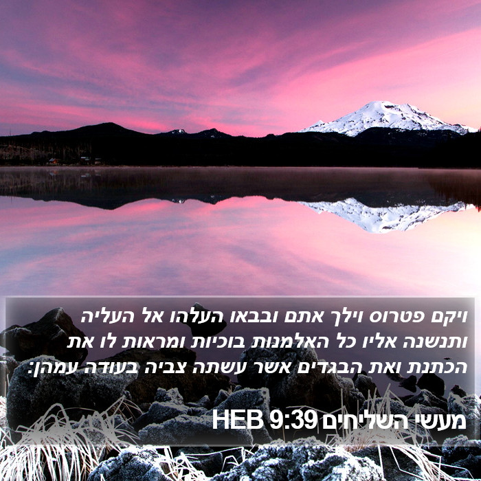 מעשי השליחים 9:39 HEB Bible Study