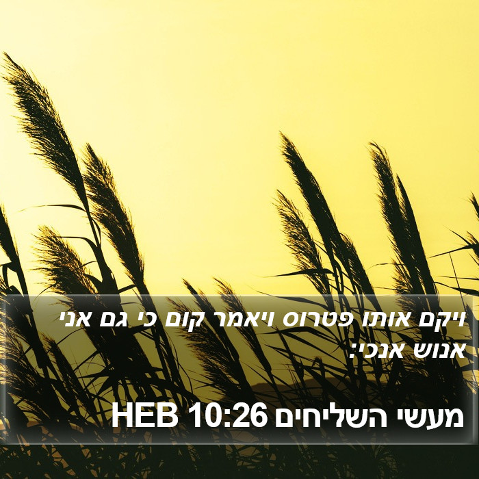 מעשי השליחים 10:26 HEB Bible Study