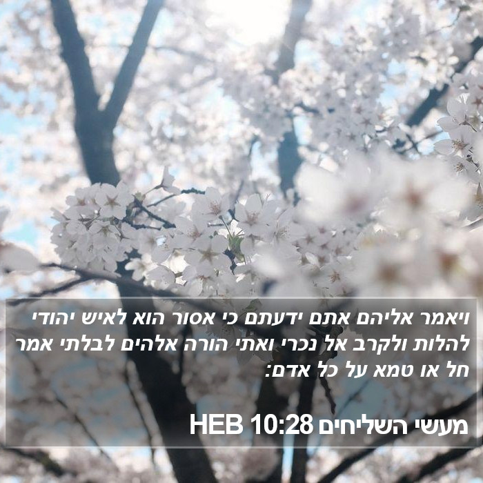 מעשי השליחים 10:28 HEB Bible Study