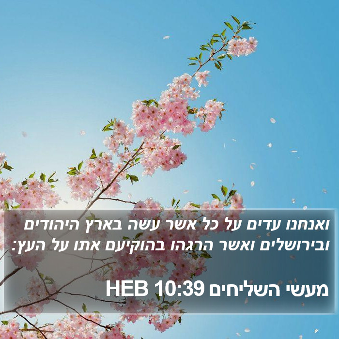 מעשי השליחים 10:39 HEB Bible Study