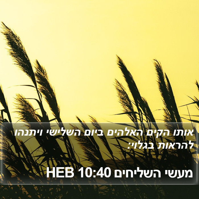 מעשי השליחים 10:40 HEB Bible Study