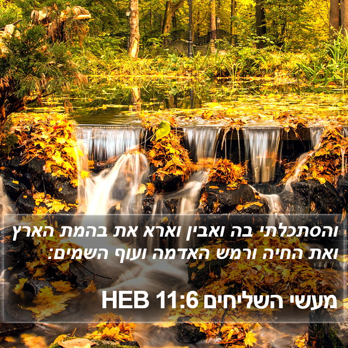 מעשי השליחים 11:6 HEB Bible Study