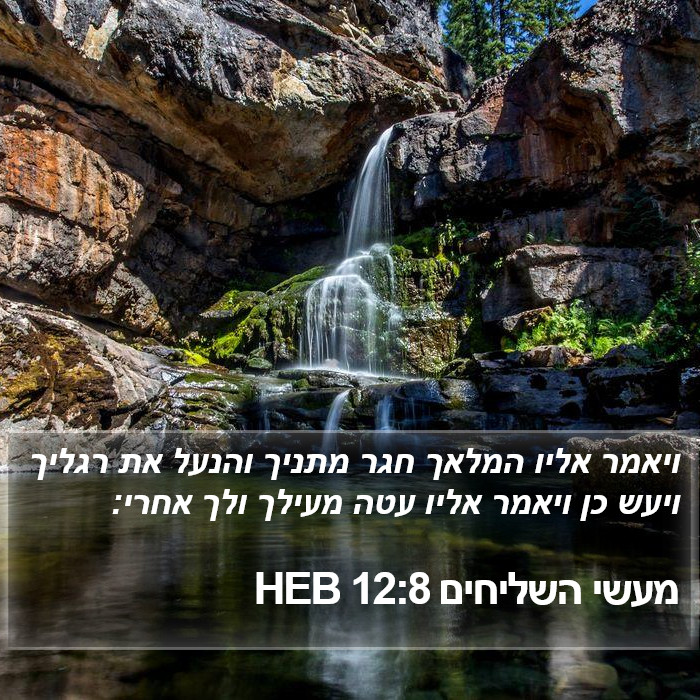 מעשי השליחים 12:8 HEB Bible Study