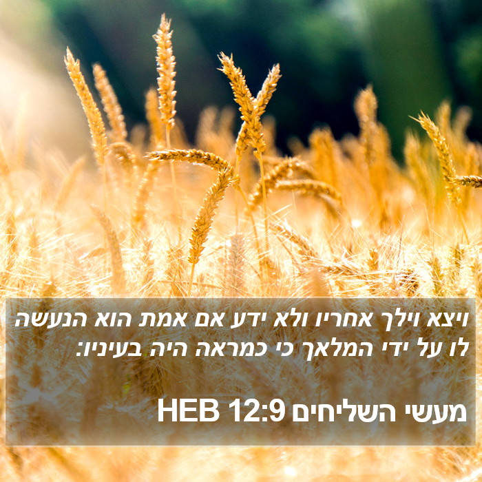 מעשי השליחים 12:9 HEB Bible Study