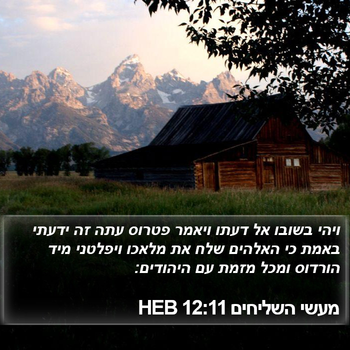 מעשי השליחים 12:11 HEB Bible Study