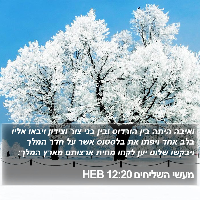 מעשי השליחים 12:20 HEB Bible Study